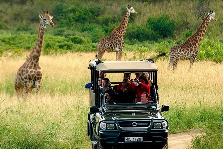 Aquila Safari - Transportation Only